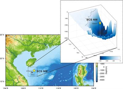 Sediment Resuspension as a Major Contributor to Sinking Particles in the Northwestern South China Sea: Evidence From Observations and Modeling